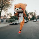 iambearsun profile picture