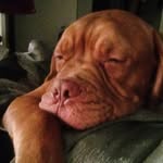 iambigdaddy__ profile picture