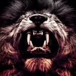 iam_cdgiv profile picture