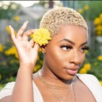 iamchefdes profile picture