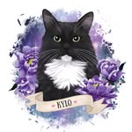 iamkylo_ profile picture