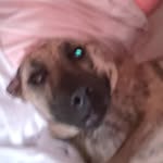 iamreaganc profile picture