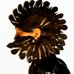 iamugbad profile picture