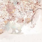 iamyanwai profile picture