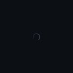 iaramdrs profile picture