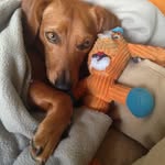 ibelievein_nutmeg profile picture