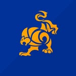 ibjjf profile picture