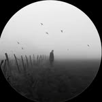 ibn_sham_55 profile picture