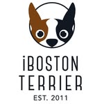 ibostonterrier profile picture