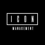 iconmanagement.ie profile picture