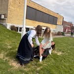 ida.tslaursen profile picture
