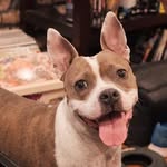 idreamofjinni profile picture