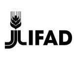 ifad_org profile picture