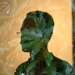 ifsr.ifsr profile picture