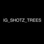 ig_shotz_trees profile picture