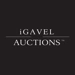 igavelauctions profile picture