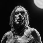 iggypopofficial profile picture