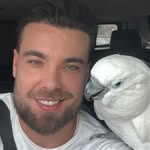 ignacioluz profile picture