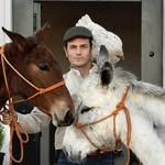igorinthewild profile picture