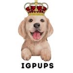 igpups profile picture