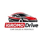 igromo_drive profile picture