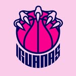 iguanasvallarta profile picture