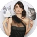 ihavecat profile picture