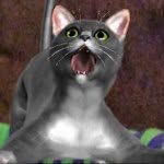 iheartinstakitty3d profile picture