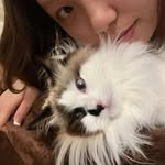 ikancheong profile picture