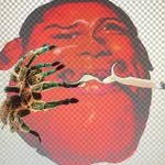 ileadadoublelife profile picture