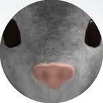 ileangoesnutty profile picture