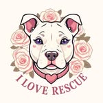 iloverescue profile picture