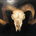 ilustrad0r_juanan profile picture