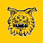 ilvesfootball1931 profile picture