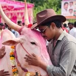 im.prathmesh.k_46 profile picture