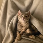 imjayn009 profile picture