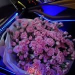 immyr8 profile picture