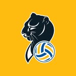 imocovolley profile picture