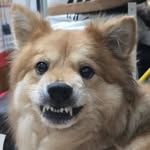 impumba1225 profile picture