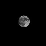 imran__el__amrani profile picture