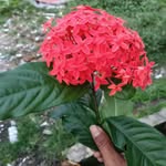 imran_hussain6263 profile picture