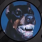 imthatjones4l profile picture