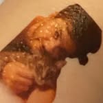 imyourkid profile picture