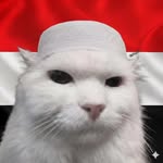 inab.45 profile picture