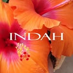 indahclothing profile picture