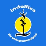 indellicax profile picture