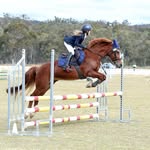 india_equestrian150 profile picture