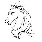 indialiterarytour profile picture