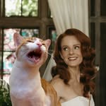 indoor_outdoor_kat profile picture