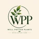 indoorplantsdxb profile picture
